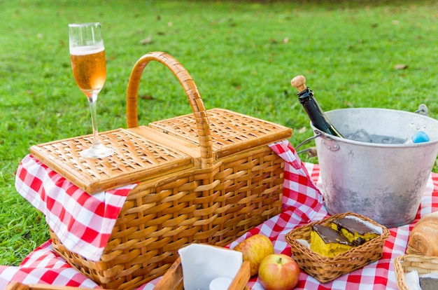 Picnic con frutta e succo sul prato verde