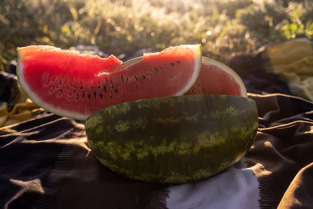 Picnic di umore estivo all'aperto gustoso cocomero affettato