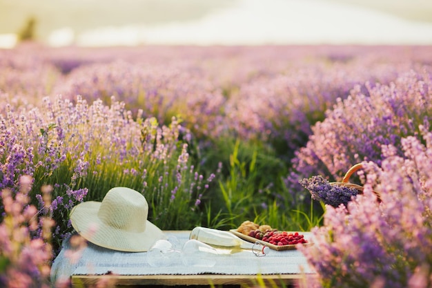 Picnic estivo nei campi di lavanda