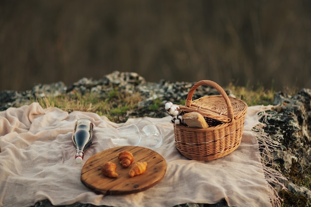 Picnic francese nella natura