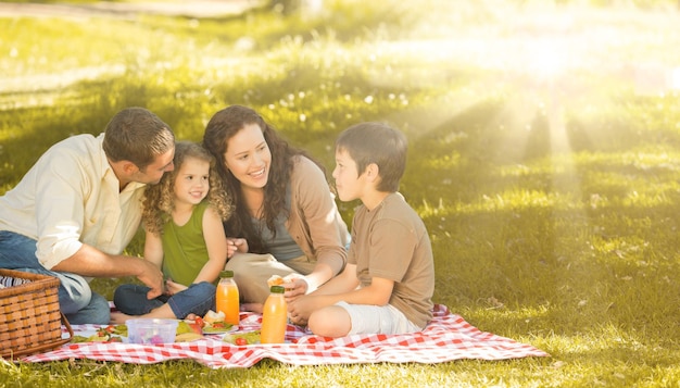 Picnic in famiglia insieme