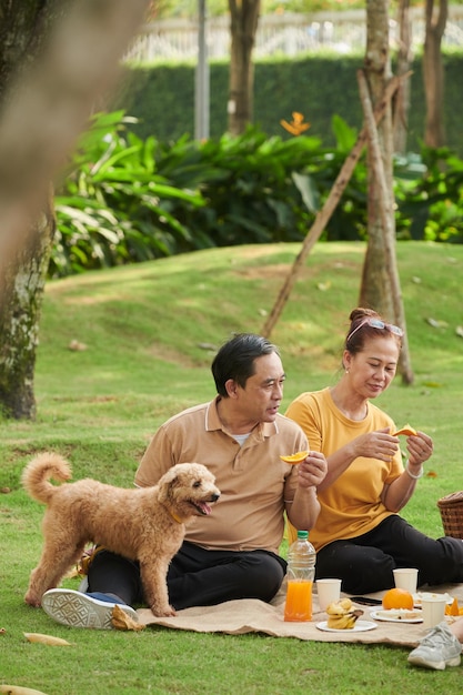 Picnic nel parco