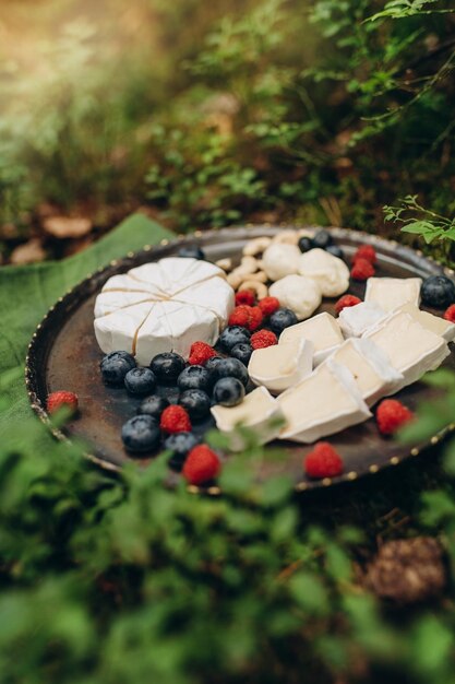 picnic nella foresta sullo sfondo di cespugli di muschio e mirtilli, formaggio e frutti di bosco su una lastra di metallo