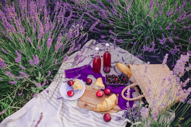 Picnic romantico nello spazio della copia del campo di lavanda