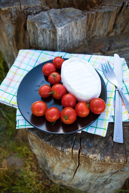 Picnic sulla natura