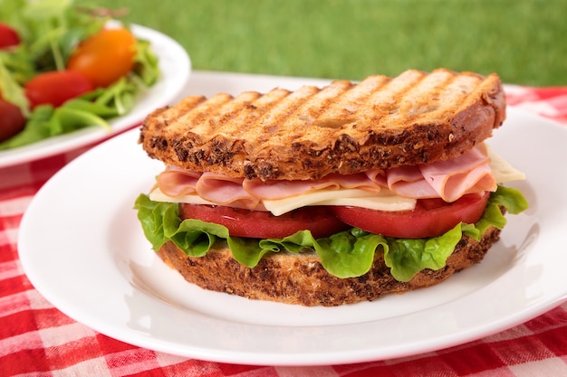 Picnic tostato prosciutto e formaggio sandwich sul tavolo all&#39;aperto