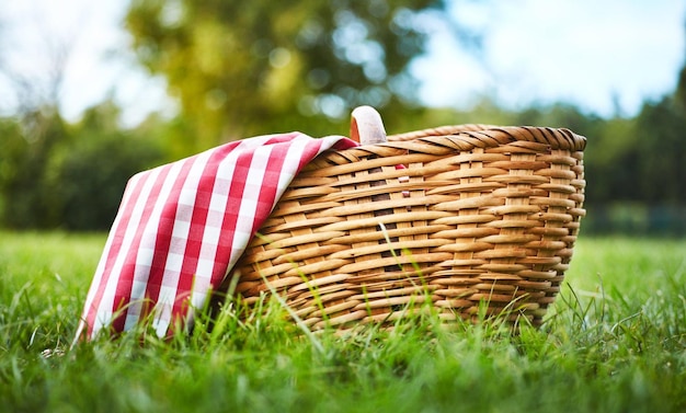 Picnic