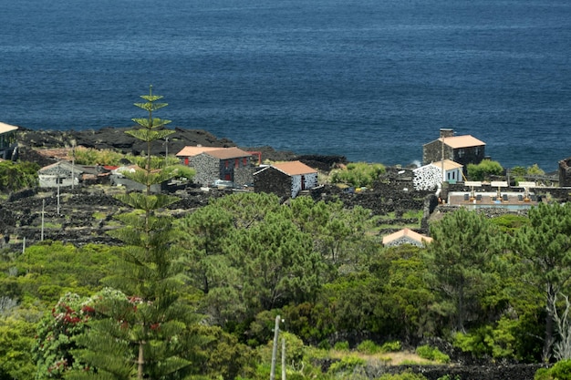 Pico Island Azzorre vigneto uve da vino protette da pietra lavica veduta aerea