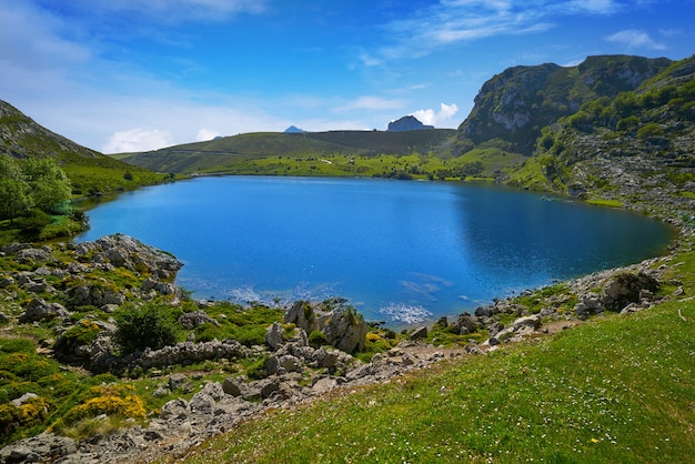 Picos de Europa Lago Enol nelle Asturie in Spagna