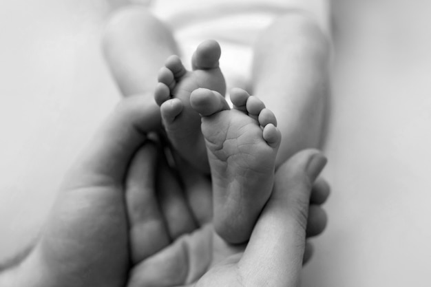 Piedi di un neonato nelle mani di un padre, genitore. Fotografia in bianco e nero. Concetto di famiglia felice. Foto di alta qualità