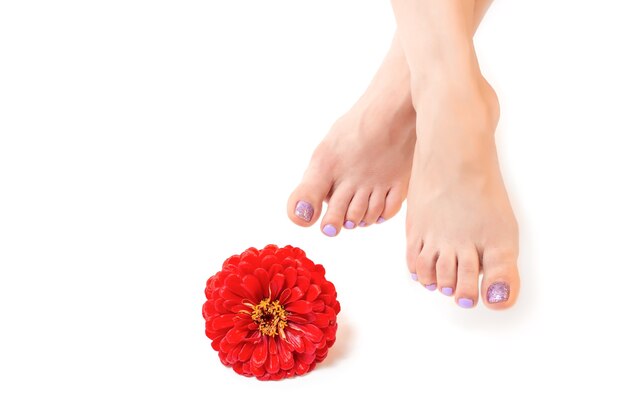 Piedi femminili con pedicure viola