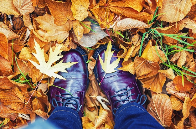 Piedi femminili in scarpe blu tra foglie autunnali