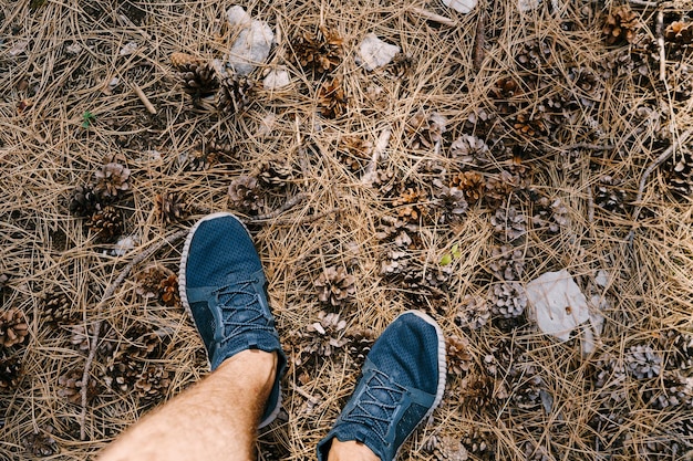 Piedi maschili in scarpe da ginnastica sugli aghi di abete tra i coni di abete closeup