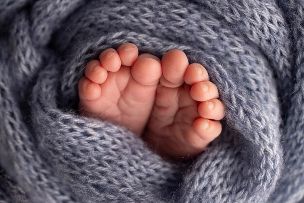 Piedi morbidi di un neonato in una coperta di lana blu Primo piano delle dita dei piedi talloni e piedi di un neonatoIl piccolo piede di un neonato Studio Macrofotografia Piedi del bambino ricoperti con sfondo isolato
