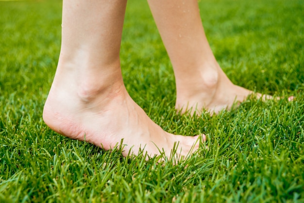 Piedi sull'erba verde.