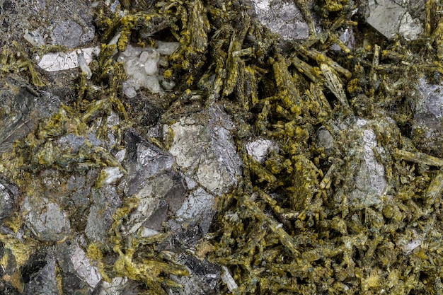 Pietra di epidoto minerale macro su sfondo bianco