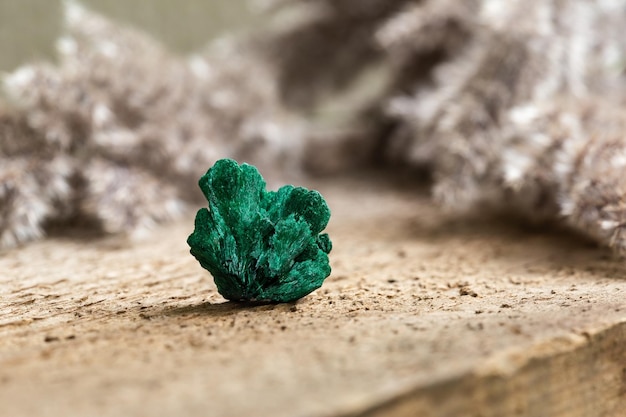 Pietra gemma minerale di malachite non tagliata grezza su legno