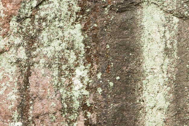 Pietra modellata di sfondo