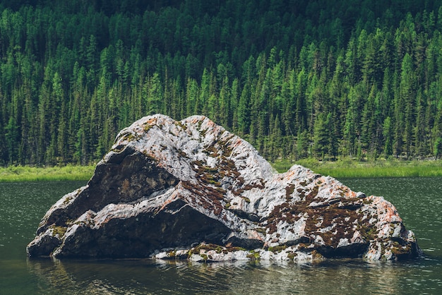 Pietra muscosa nel lago di montagna.