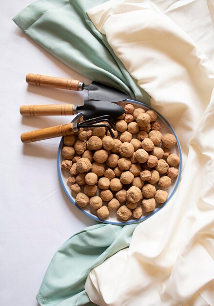 Pietre di argilla caramello commestibili in un piatto rotondo con piccole pale da giardino e una posa piatta minimale