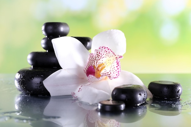 Pietre di spa e orchidee bianche su tavolo su sfondo naturale