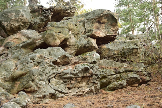 Pietre enormi in una foresta di pini primaverili villaggio Skripino Ulyanovsk Russia la pietra nella foresta Skrzypinski Kuchury