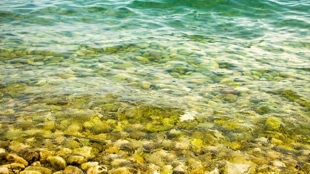 Pietre in mare vicino alla riva sotto acqua limpida.