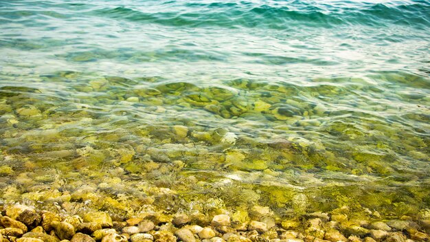 Pietre in mare vicino alla riva sotto acqua limpida