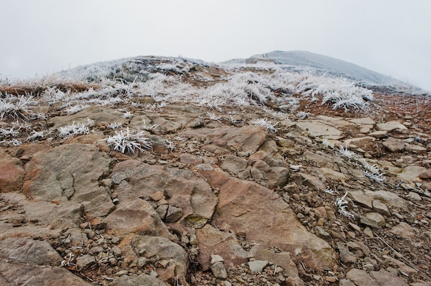 Pietre rocciose congelate alle montagne della neve con l'erba e la nebbia del gelo sulla cima