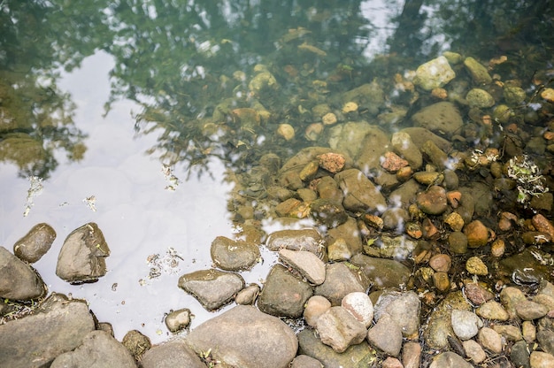 Pietre sulla riva di un tranquillo lago forestale con acqua blu che riflette gli alberi