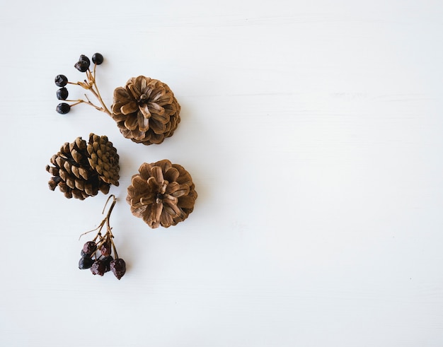 Pigne marroni naturali e pezzi di rosa essiccati su fondo di legno bianco.