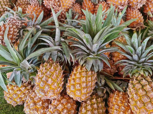 Pila di ananas maturi per la vendita al mercato Stall