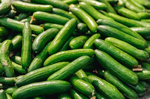 Pila di cetrioli freschi sul bancone del supermercato