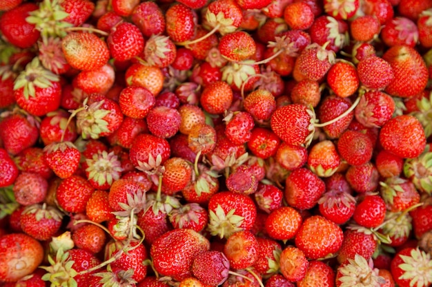 Pila di fragole su una bancarella del mercato