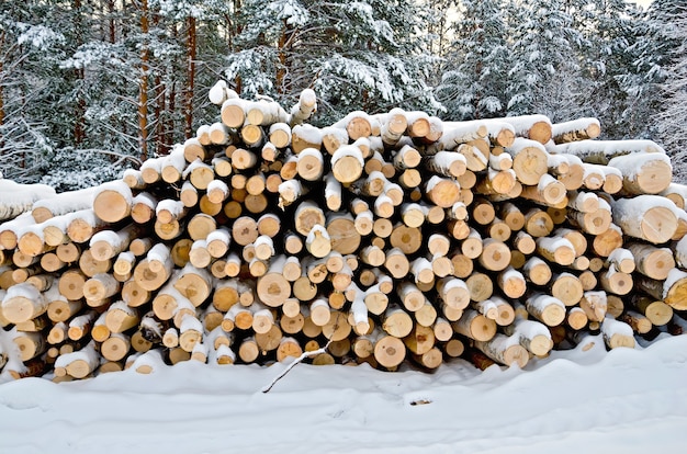 Pila di legno in inverno su uno sfondo di alberi, neve, cielo