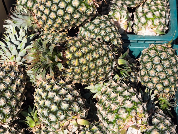 Pila di maturi molti ananas sul mercato come sfondo