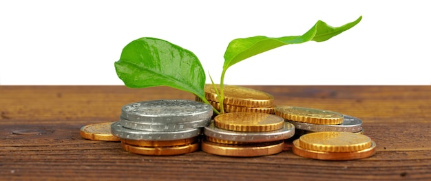 Pila di monete di denaro e concetto finanziario di piante in crescita