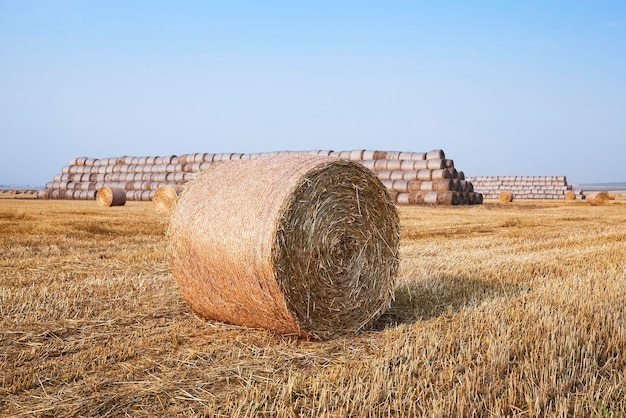 Pila di paglia nel campo