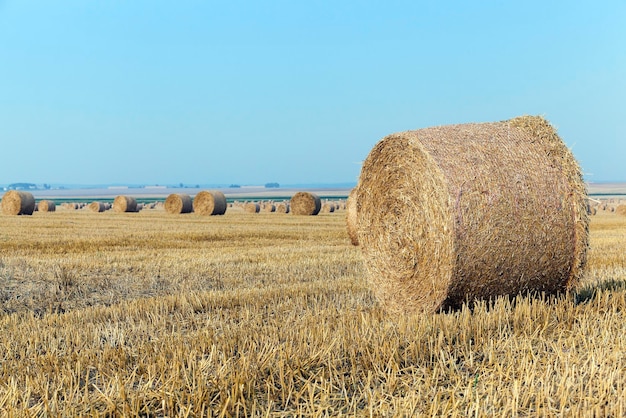 Pila di paglia nel campo