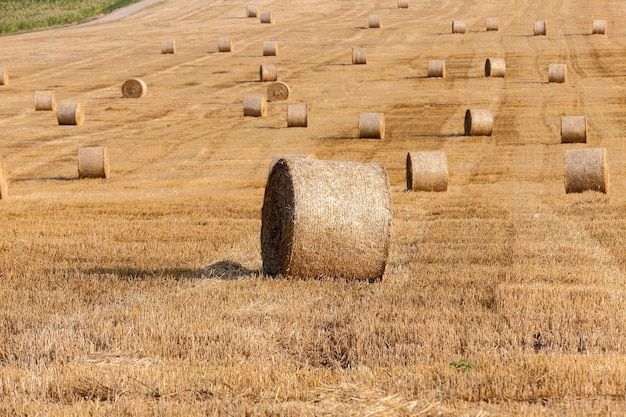 Pila di paglia nel campo