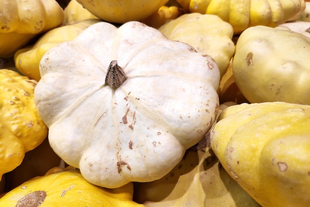 Pila di pattypan schiaccia su una bancarella del mercato