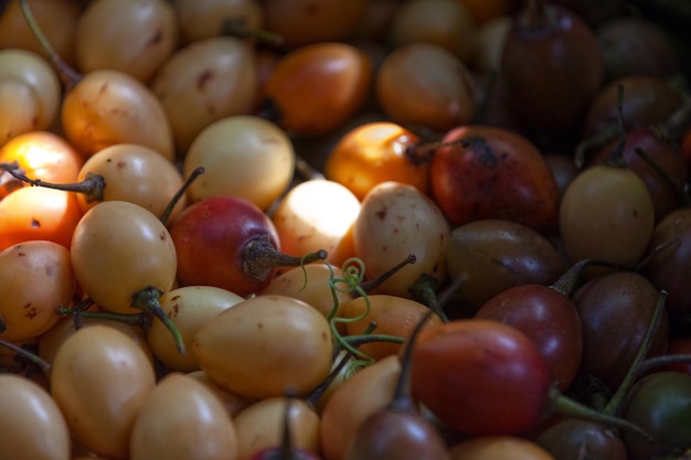 Pila di Tamarillos su una bancarella del mercato