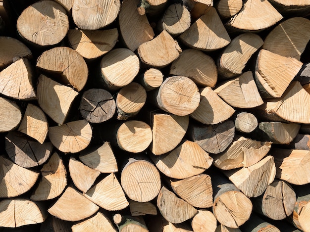 Pila di tronchi di legno pronti per l'inverno