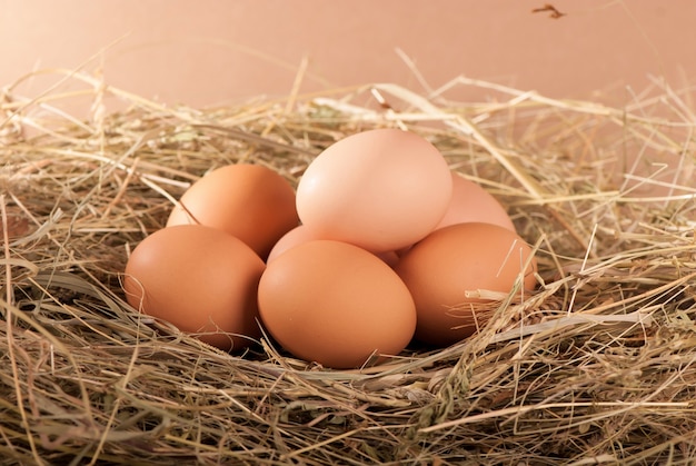 Pila di uova di gallina marrone in un nido