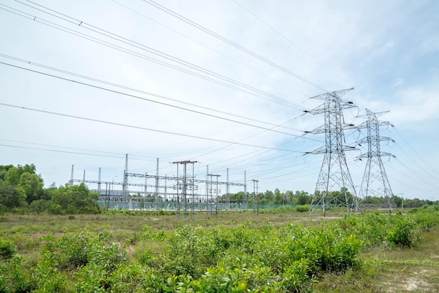 Pilastri elettrici nel paesaggio rurale