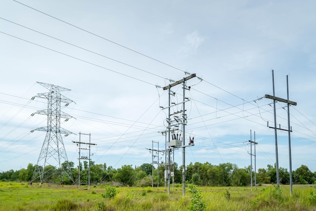 Pilastri elettrici nel paesaggio rurale