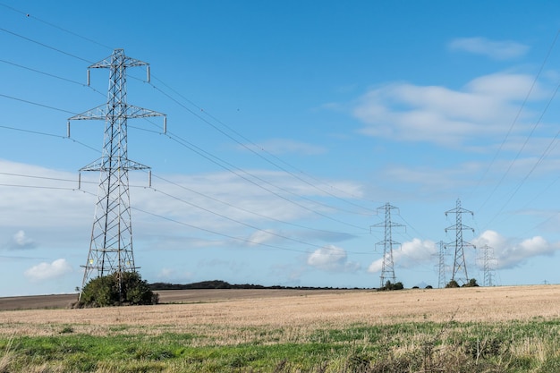 Pilastri elettrici sul campo contro il cielo blu