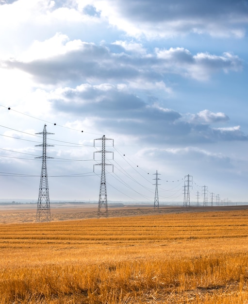 Pilastri elettrici sul campo contro il cielo