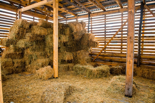 Pile di fieno secco nell'interno del fienile in legno rurale