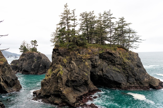 Pile di mare ricoperte di pino roccioso sulla costa del Pacifico dell'Oregon, Stati Uniti d'America.